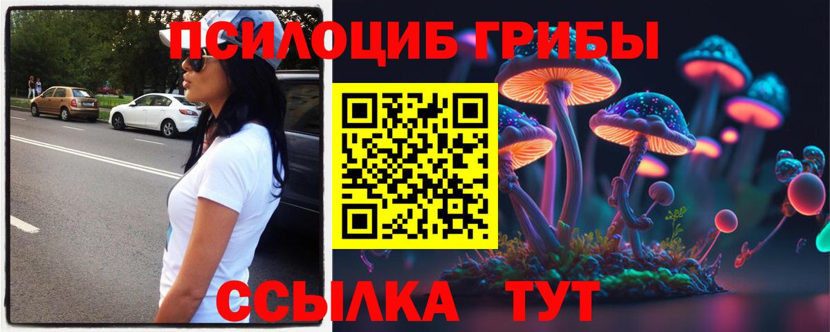 Галлюциногенные грибы Psilocybine cubensis Губаха